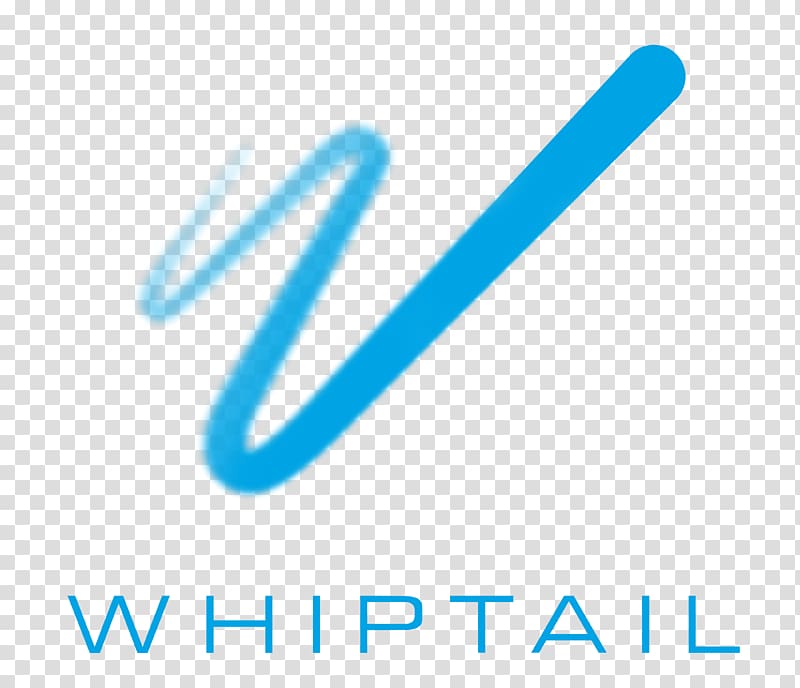 Whiptail SanDisk Flash memory Technology Computer data storage, technology transparent background PNG clipart