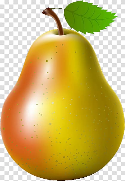 Asian pear Fruit , pear transparent background PNG clipart