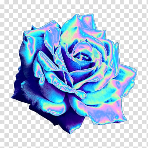 Blue rose Garden roses Tumblr Blog, holography transparent background PNG clipart