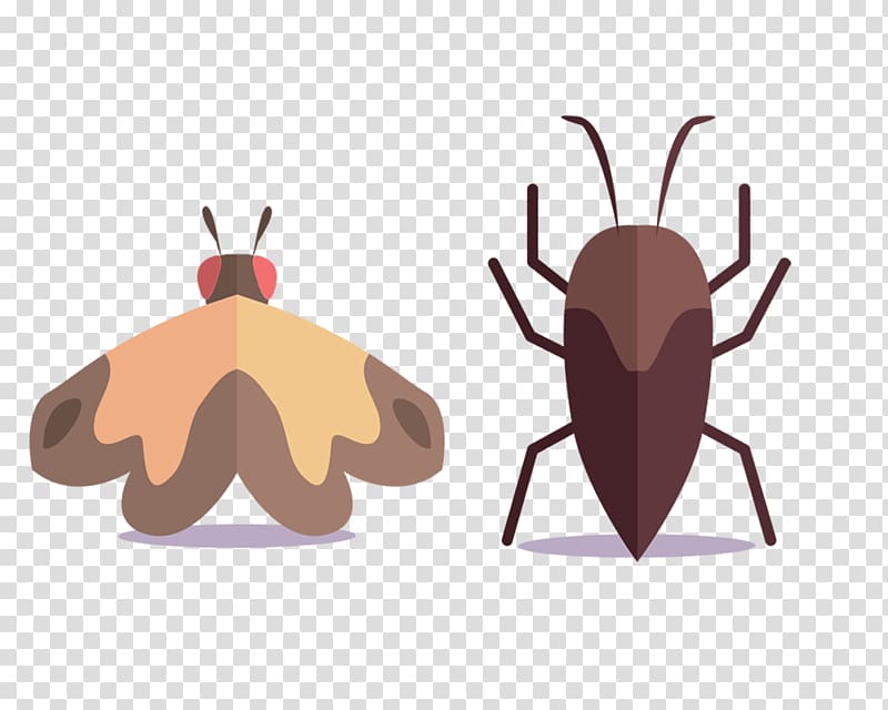 Cockroach Insect Pest, Cockroach back moth transparent background PNG clipart
