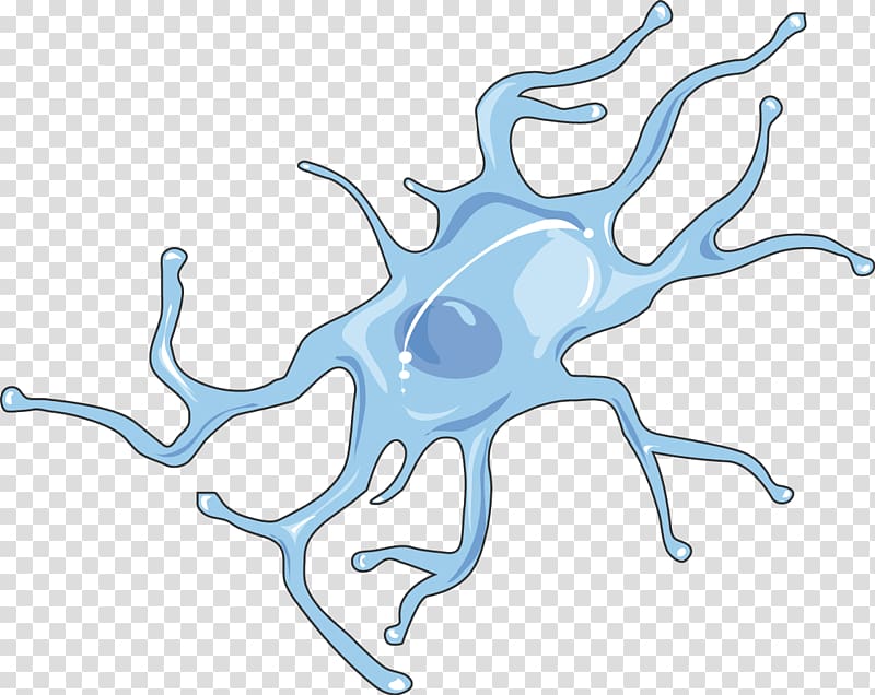 Microglia Nervous system Cell Nervous tissue Biology, Brain transparent background PNG clipart