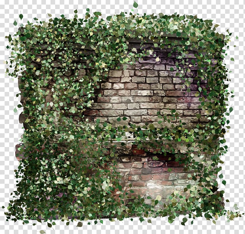 green and gray wall illustration, Hand painted walls overgrown with weeds transparent background PNG clipart