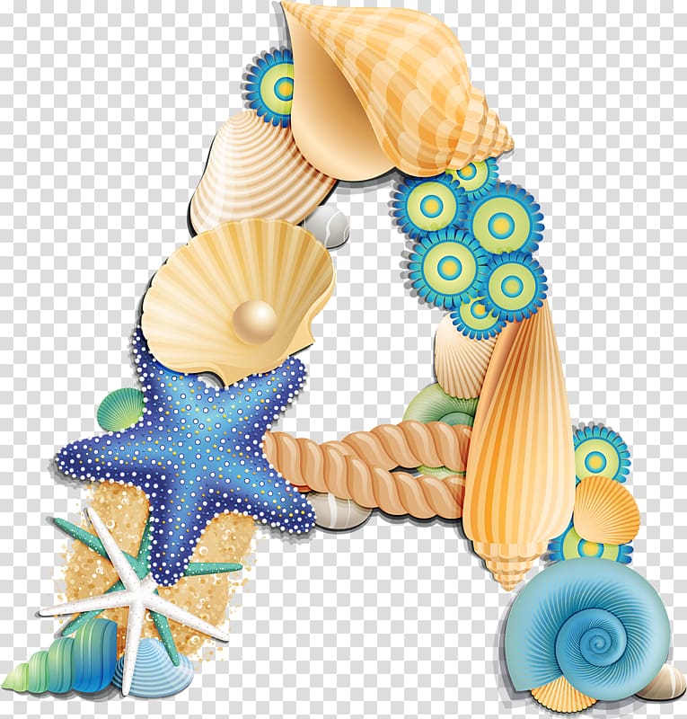 Seashells illustration, English alphabet Letter Seashell, seashell  transparent background PNG clipart