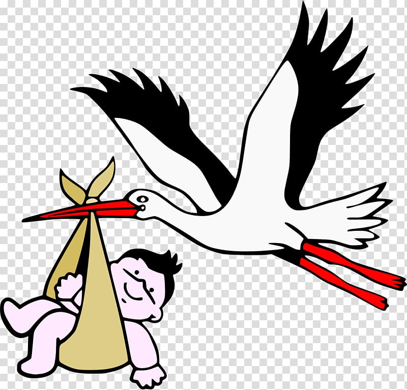 Stork transparent background PNG clipart