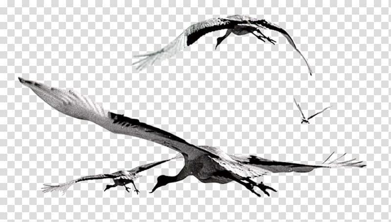 Bird Flight Gulls Flock, Flying crane transparent background PNG clipart