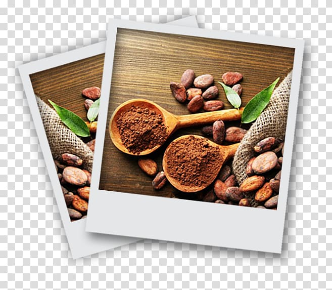Cocoa bean Cacao tree Cocoa solids Dark chocolate, chocolate transparent background PNG clipart