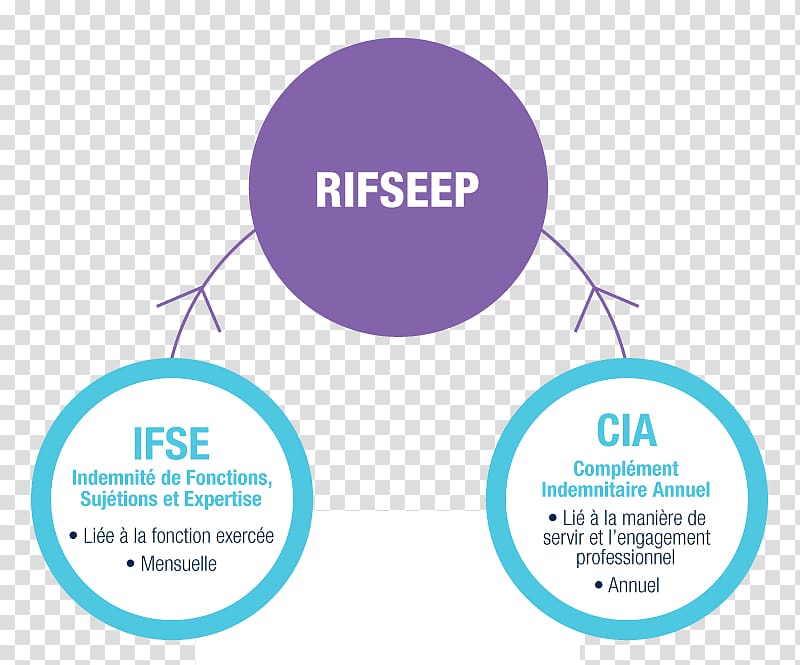 RIFSEEP Organization Public Scientific and Technical Research Establishment Centre national de la recherche scientifique Civil service, Remuneration transparent background PNG clipart