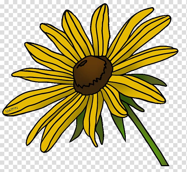 Blackeyed Susan Maryland State flower , flower transparent background PNG clipart