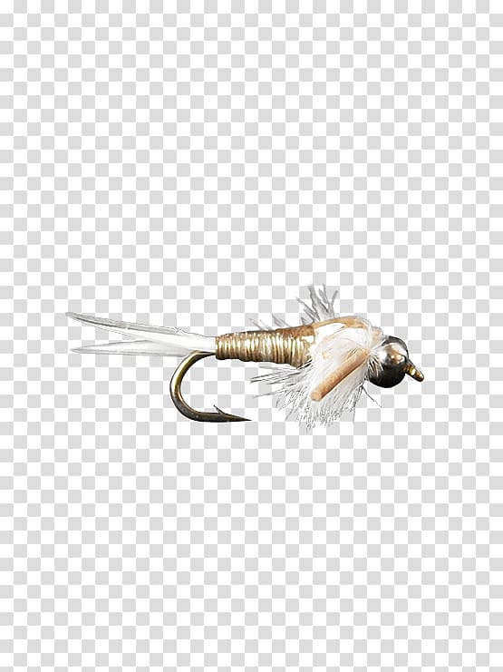 Nymph Elk Hair Caddis Fly fishing B & H Video Sales, flying nymph transparent background PNG clipart