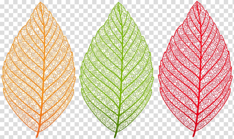 Autumn leaf color , leaf bookmark transparent background PNG clipart