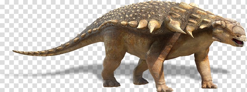 Edmontonia Nodosaurus Triceratops Tyrannosaurus Stegosaurus, dinosaur transparent background PNG clipart