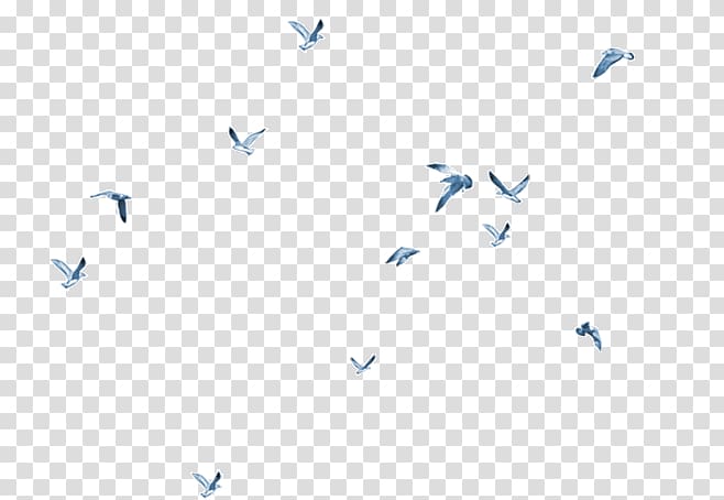 low angle of silhouette of flock of birds flying, Bird , Flying bird transparent background PNG clipart