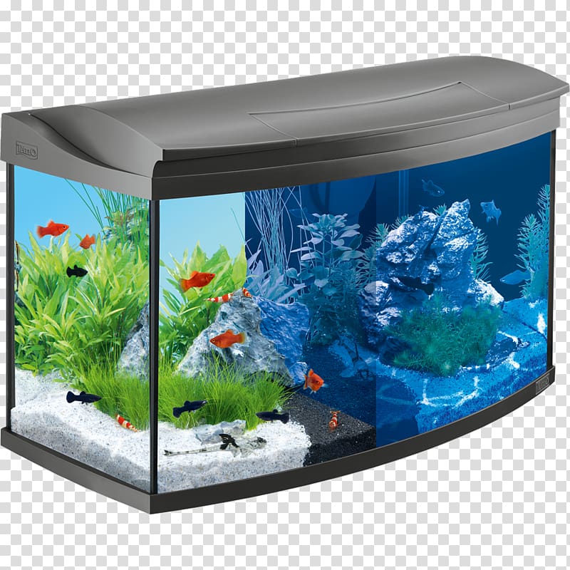 Light Tetra Aquariums Aquascaping, light transparent background PNG clipart