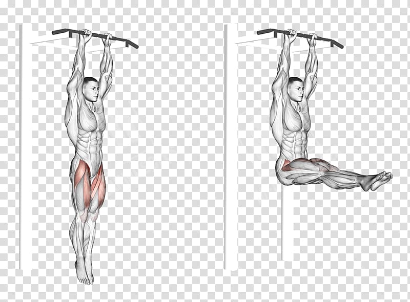 Leg raise Abdominal exercise Rectus abdominis muscle Crunch Fitness Centre, partial flattening transparent background PNG clipart