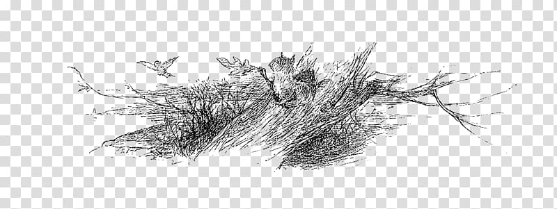 Digital stamp Squirrel Twig Grasses Sketch, flying leaves transparent background PNG clipart