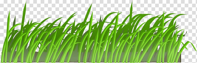 Lawn mower Cartoon , Grass Green Grass transparent background PNG clipart