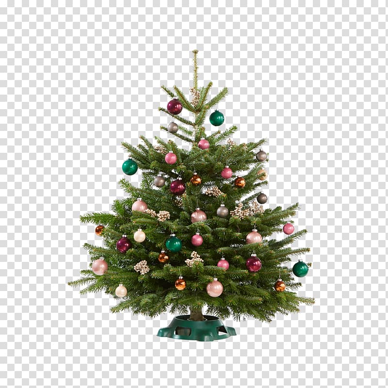 Christmas tree Christmas ornament Spruce Fir Pine, christmas tree transparent background PNG clipart