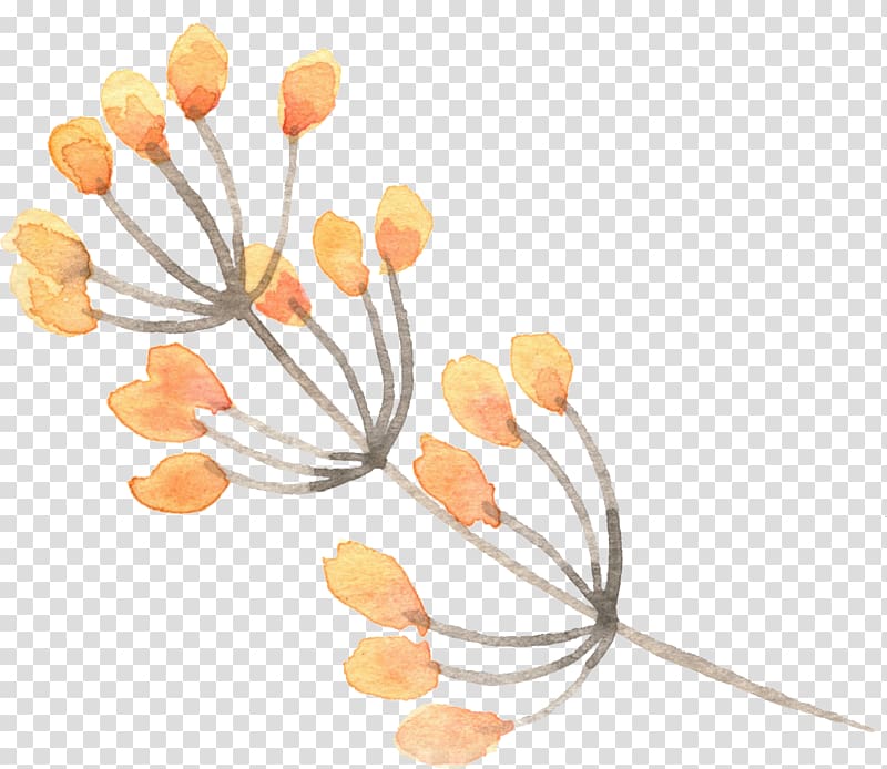 Watercolor painting , Yellow flower bones transparent background PNG clipart