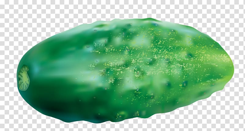 Pickled cucumber Melon, Green cucumber transparent background PNG clipart