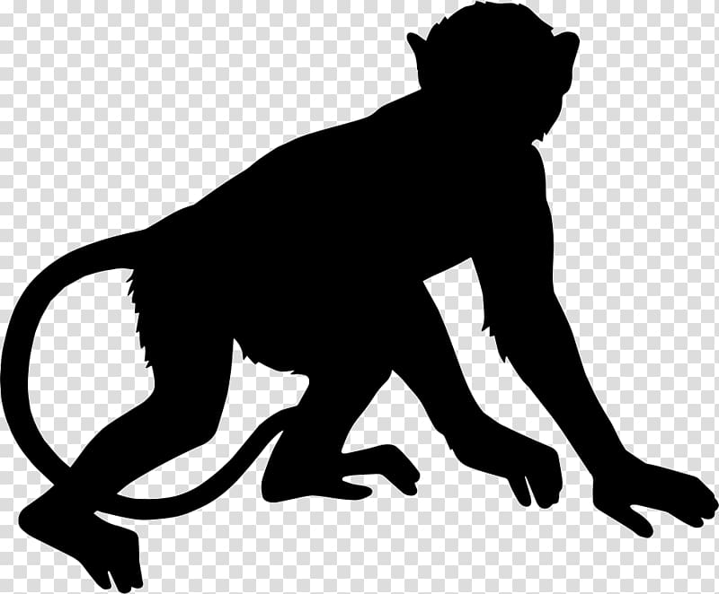Primate Monkey , orangutan transparent background PNG clipart