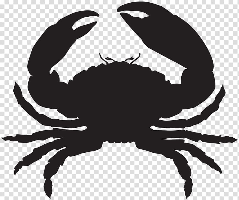 black crab illustration, Florida stone crab Seafood Oyster Lobster, Crab Silhouette transparent background PNG clipart