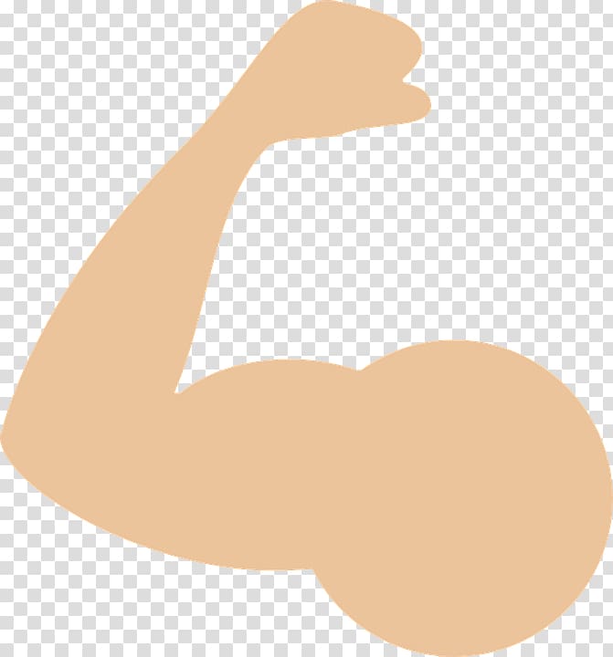 Muscle Arm Health, muscle transparent background PNG clipart