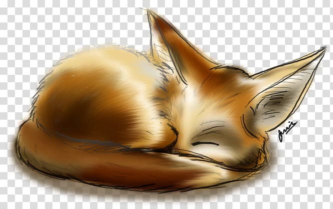 Fennec fox Drawing Art, fox transparent background PNG clipart