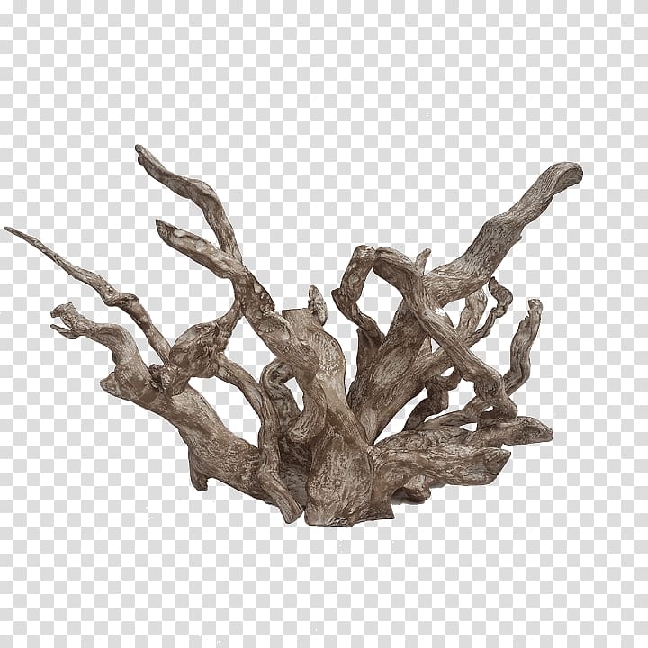 Driftwood Art White River Coral, coral collection transparent background PNG clipart