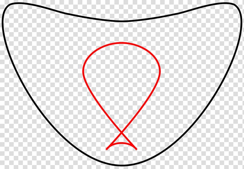 Dual curve Elliptic curve Projective plane Plane curve, curve transparent background PNG clipart