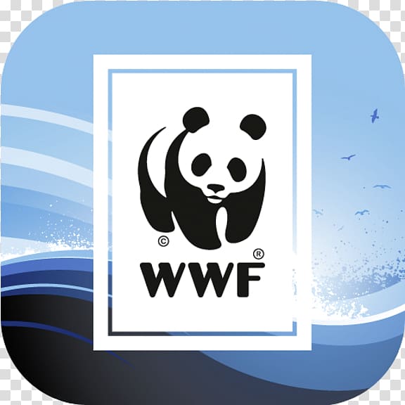 World Wide Fund for Nature Conservation World Wildlife Fund, Inc. Natural environment Organization, natural environment transparent background PNG clipart