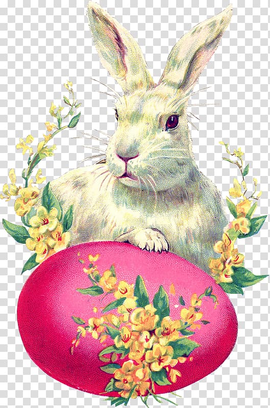 Easter Bunny Easter postcard Rabbit Easter egg, Easter transparent background PNG clipart