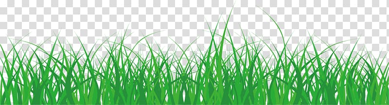 cute grass elements transparent background PNG clipart