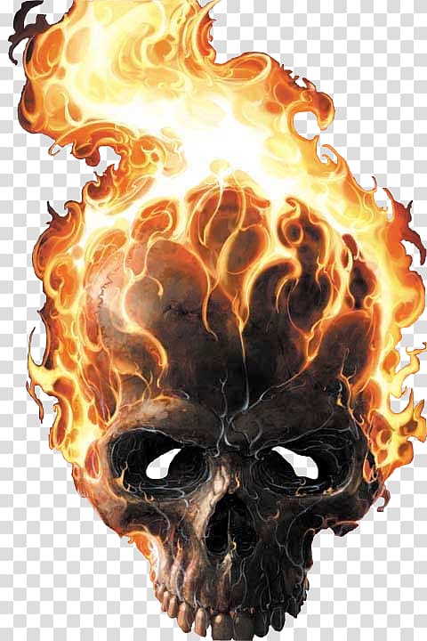 Johnny Blaze Danny Ketch Roxanne Simpson Ghost Vengeance, American Skull transparent background PNG clipart