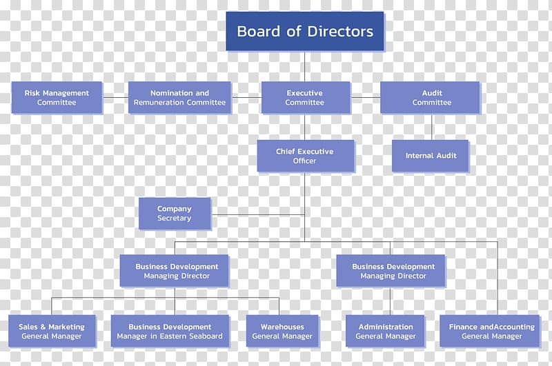 Organizational chart Board of directors Organizational structure Corporation, Board of Directors Chart transparent background PNG clipart