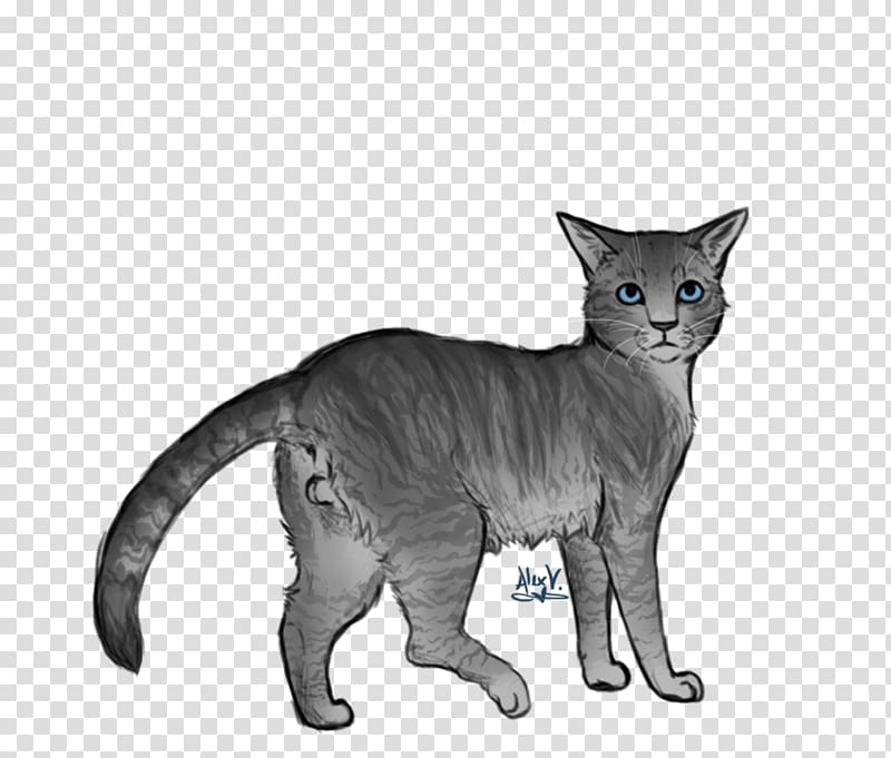 Devon Rex Kitten Whiskers Warriors Domestic short-haired cat, kitten transparent background PNG clipart