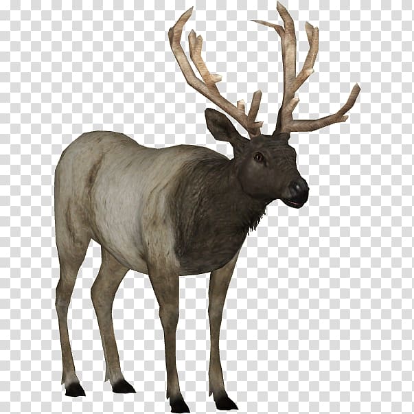 Zoo Tycoon 2: Marine Mania Elk Deer, deer transparent background PNG clipart