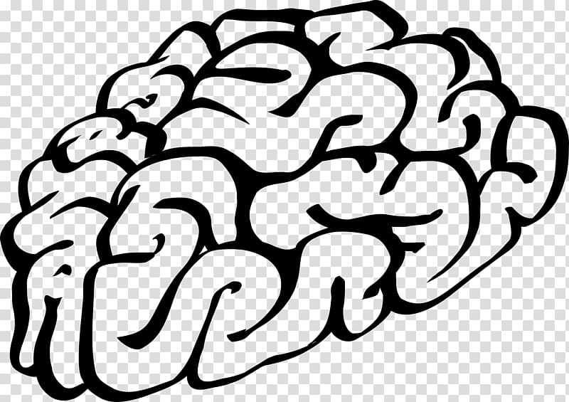 Brain Drawing , hand drawn brain transparent background PNG clipart
