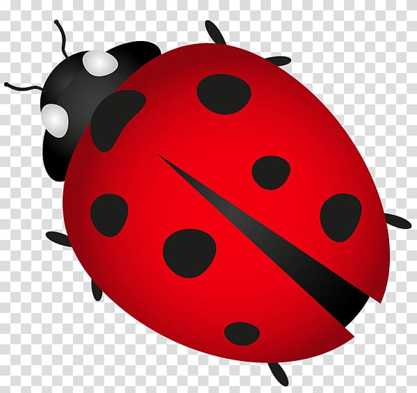 ladybug PNG image transparent image download, size: 3118x2692px