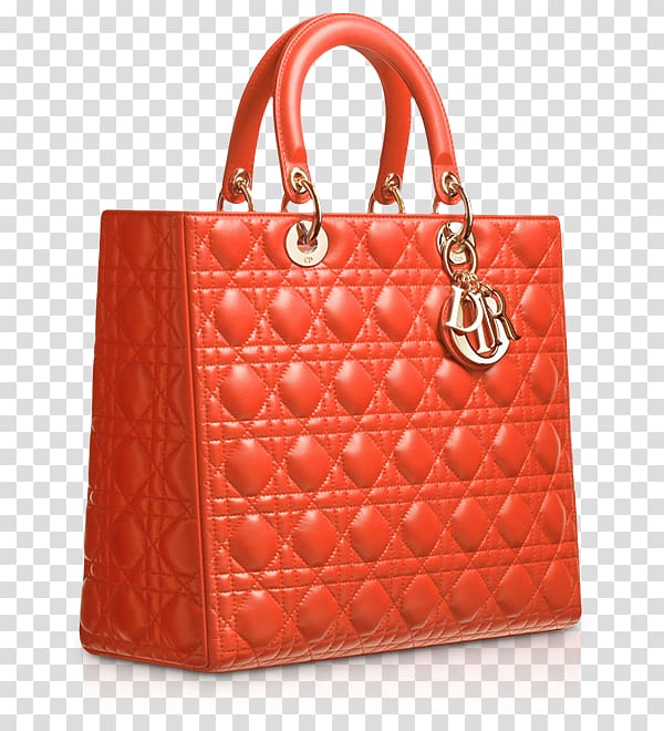 Lady Dior Handbag Christian Dior SE Fashion, snake gucci transparent background PNG clipart
