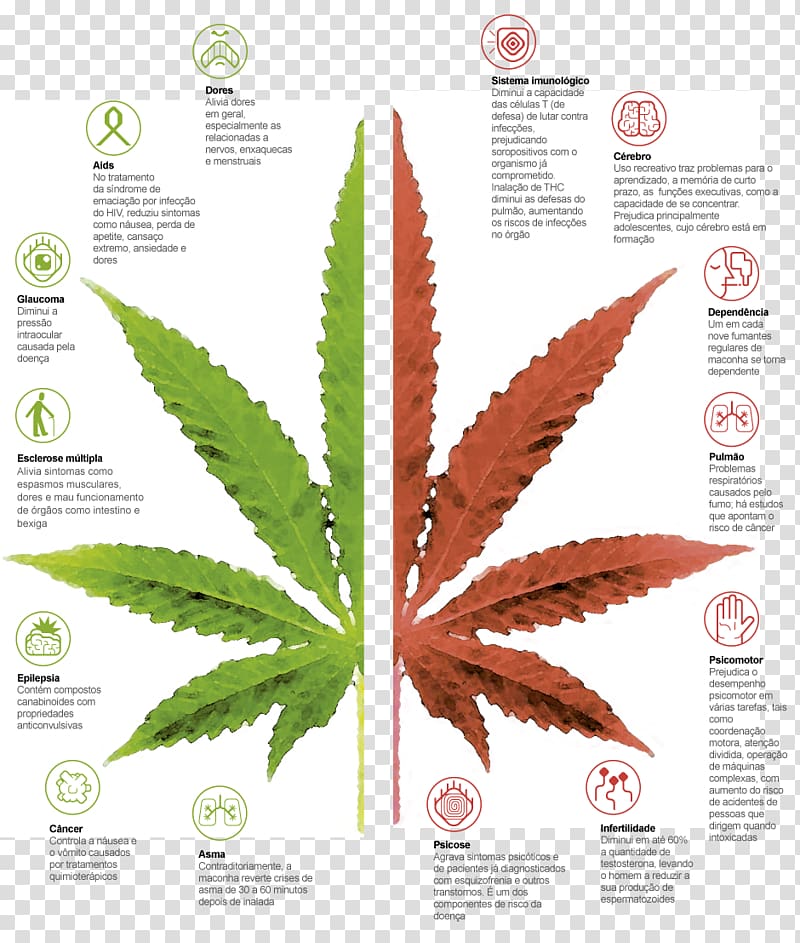 Cannabis smoking Joint , cannabis transparent background PNG clipart