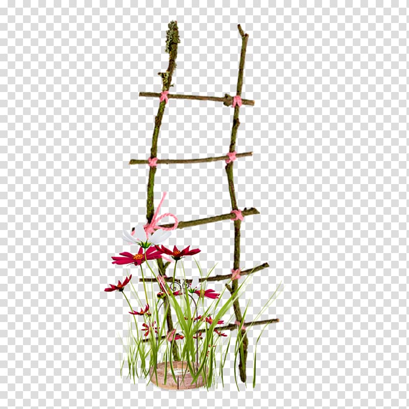 Computer graphics , ladder transparent background PNG clipart