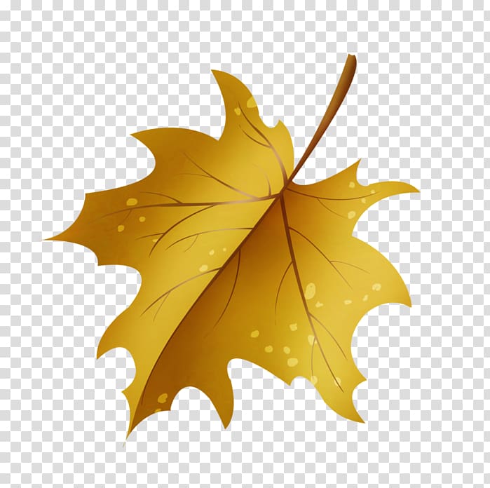 Author Albom Maple leaf Yandex Search, autumn transparent background PNG clipart