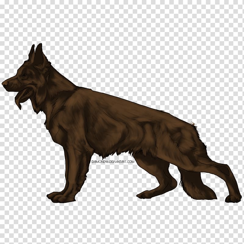 Dog breed German Shepherd Malinois dog Animal, german shepherd dog transparent background PNG clipart