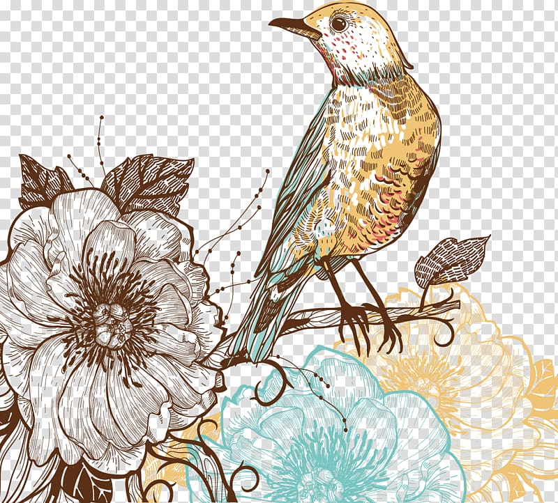 Bird Drawing Flower Pattern, China Plover transparent background PNG clipart