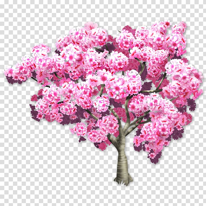 Pink trumpet tree Tabebuia Branch Wisteria, sakura tree transparent background PNG clipart