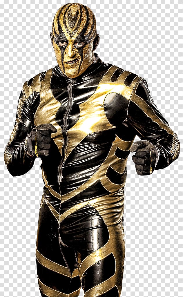 Royal Rumble (2014) Professional wrestling WWE Professional Wrestler Cody Rhodes and Goldust, wwe transparent background PNG clipart