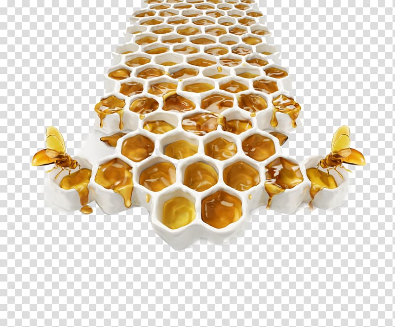 Honey bee Mu0101nuka honey, bee transparent background PNG clipart