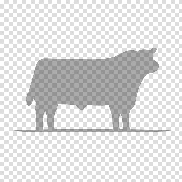 Angus cattle Holstein Friesian cattle Bull Ox Aberdeen, angusbull transparent background PNG clipart