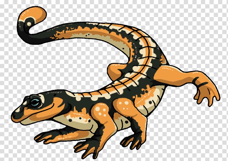 Gecko Lizard Toad Fauna Terrestrial animal, master lost cap transparent background PNG clipart