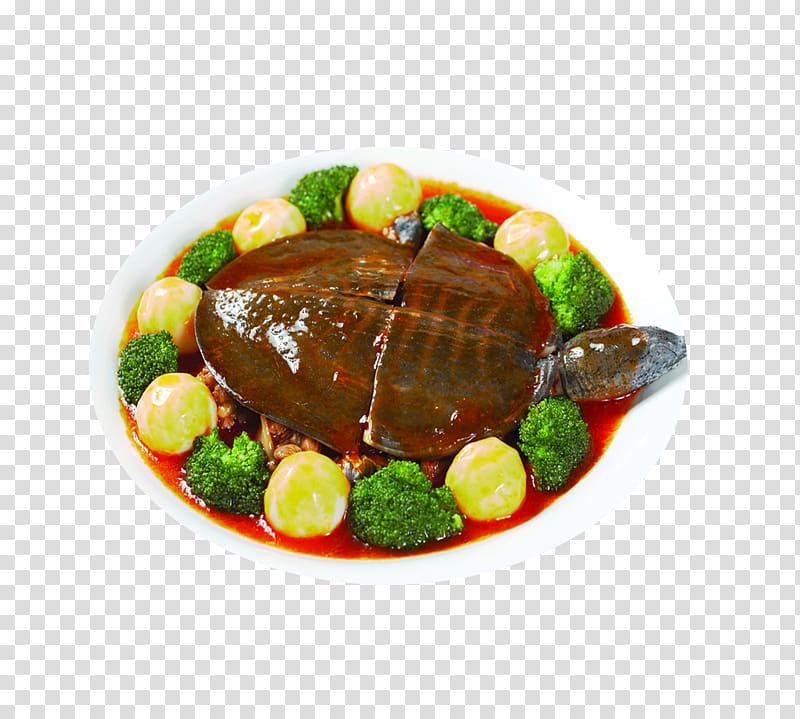 Nutrient Chinese softshell turtle Food Nutrition Soup, Braised turtle transparent background PNG clipart